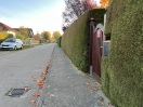 Foto: Fußgängerweg wegen Hecke zu schmal 